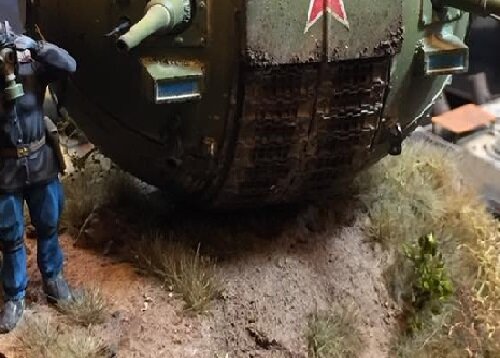 Autumn coloured grass tufts (dark) (+/- 260)