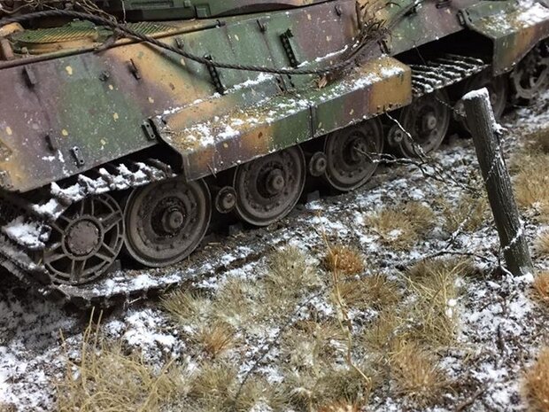 Autumn coloured grass tufts (light) (+/- 260)