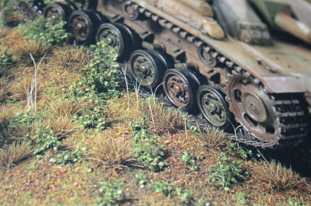 Autumn coloured grass tufts (light) (+/- 260)