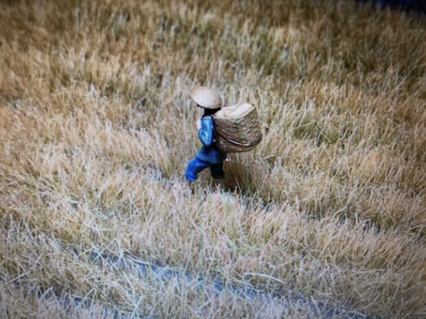 Brown grass strips  ( 12 stripes)
