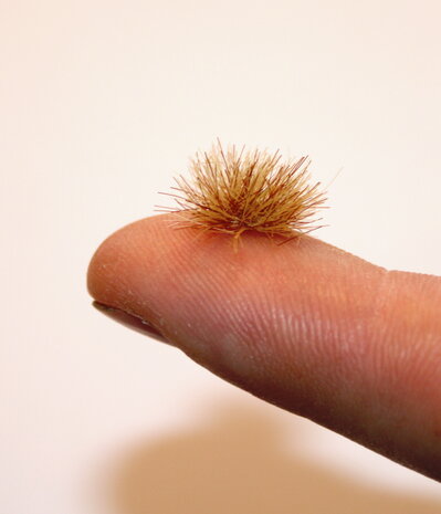 Dark brown grass tufts  (+/- 260 tufts)