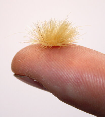 Brown grass tufts  (+/- 260 tufts)