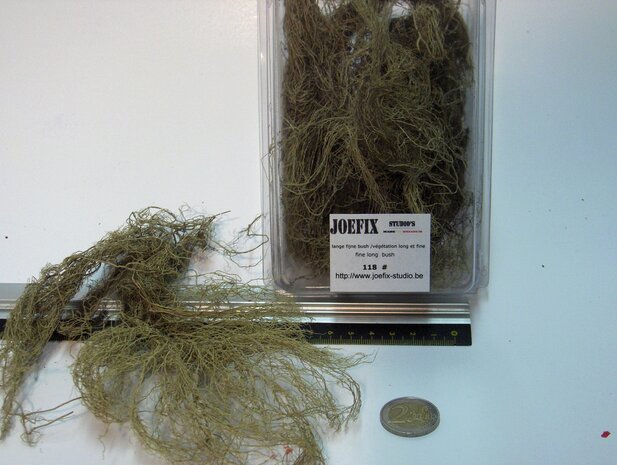 Fine jungle bush (creeper)