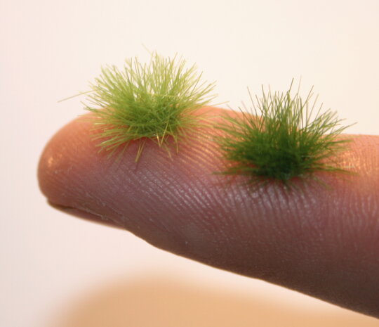  Green grass tufts (+/- 260 tufts)
