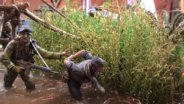 Brown long grass / reed