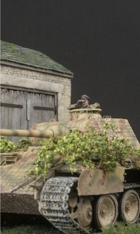 Small green leaves on twigs  (light green)