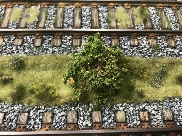 Small green leaves on twigs  (light green)