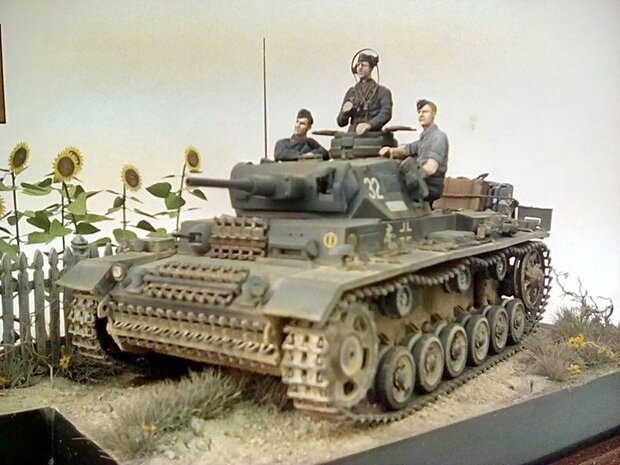 Sun flowers set - 1/35