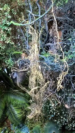 Palm leaves nr 1 - 1/72