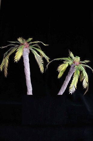 Palm leaves nr 2 - 1/72